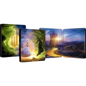Wicked Partie 2 Blu Ray 4K Steelbook provisoire produit