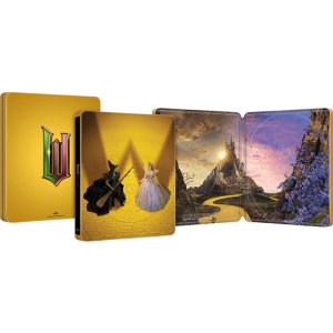 Wicked Partie 2 4K Edition Limitée FNAC provisoire produit