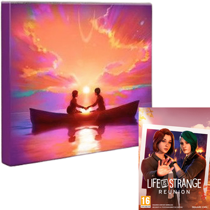 life is strange reunion collector pc visuel produit