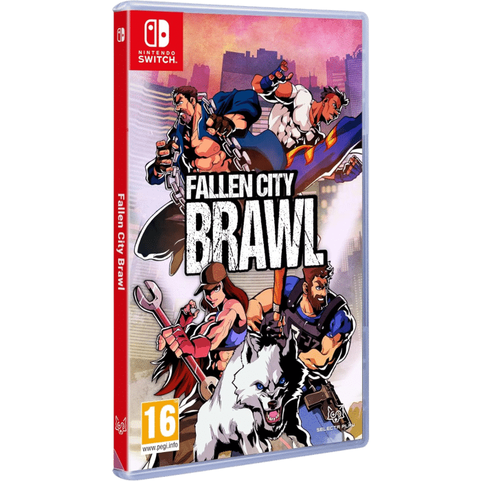 fallen city brawl sur switch visuel produit