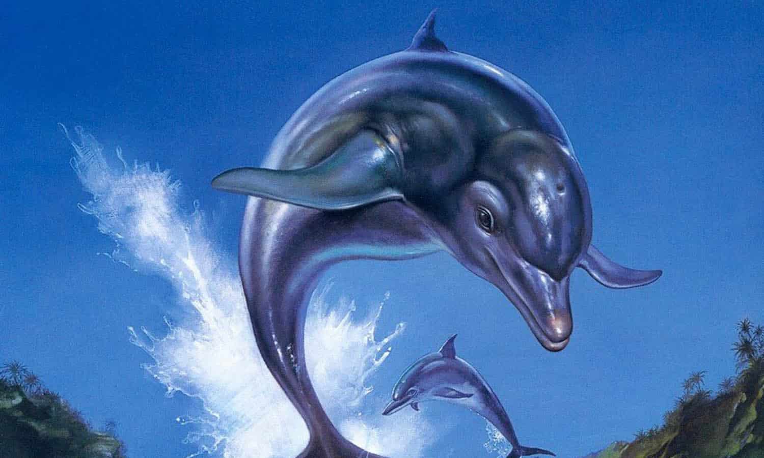 SLIDER Ecco The Dolphin Complete 30 ans plus tard le dauphin refait surface
