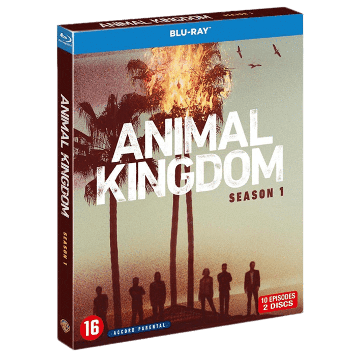 animal kingdom saison 1 blu ray
