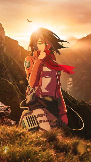 Mikasa_bzh