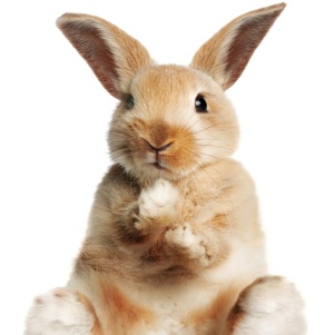 Armel Bunny Mat