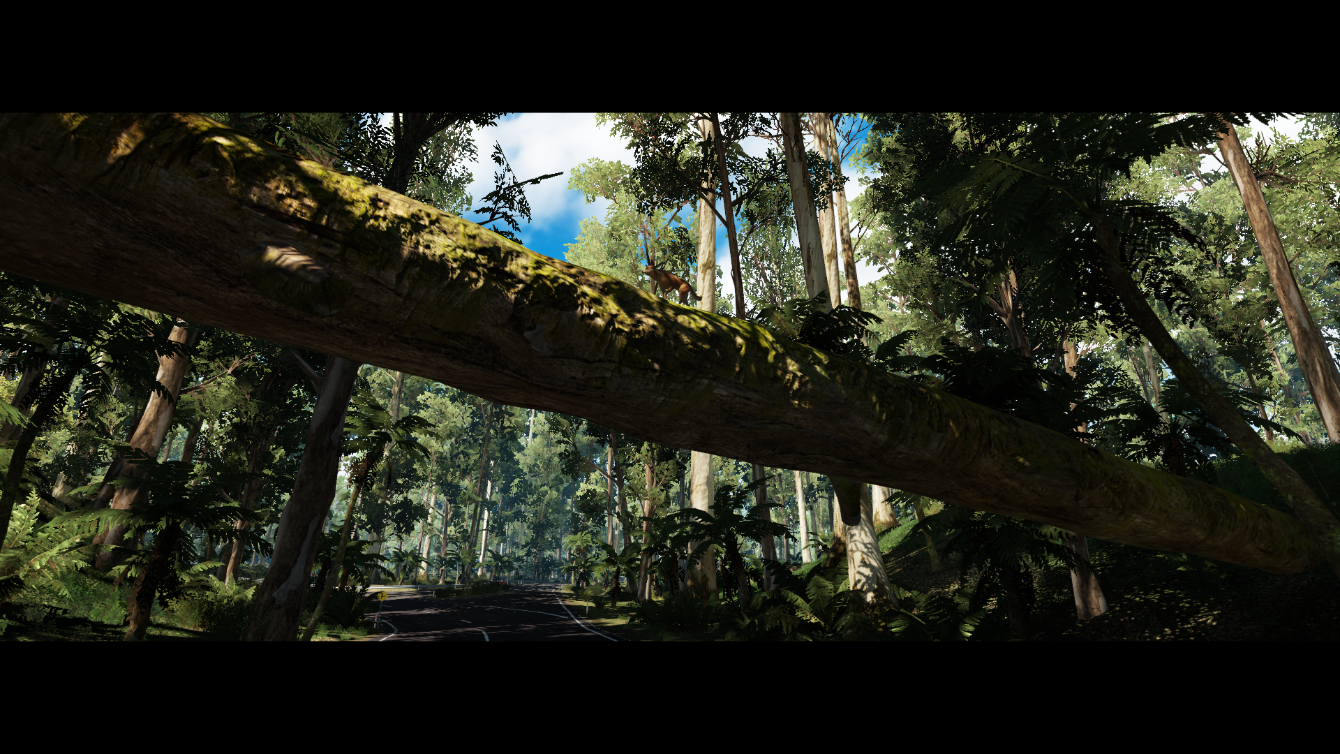 Test de Forza Horizon 3