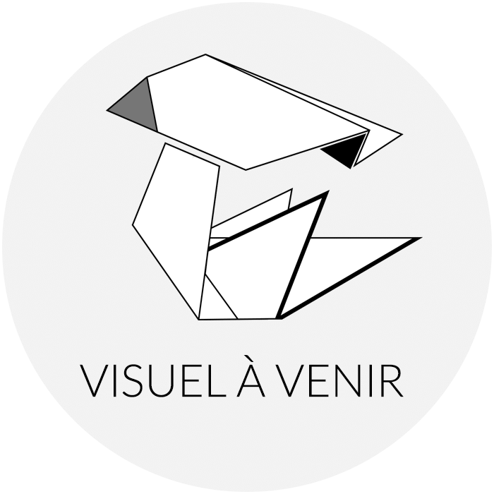 visuel à venir standard vierge v2