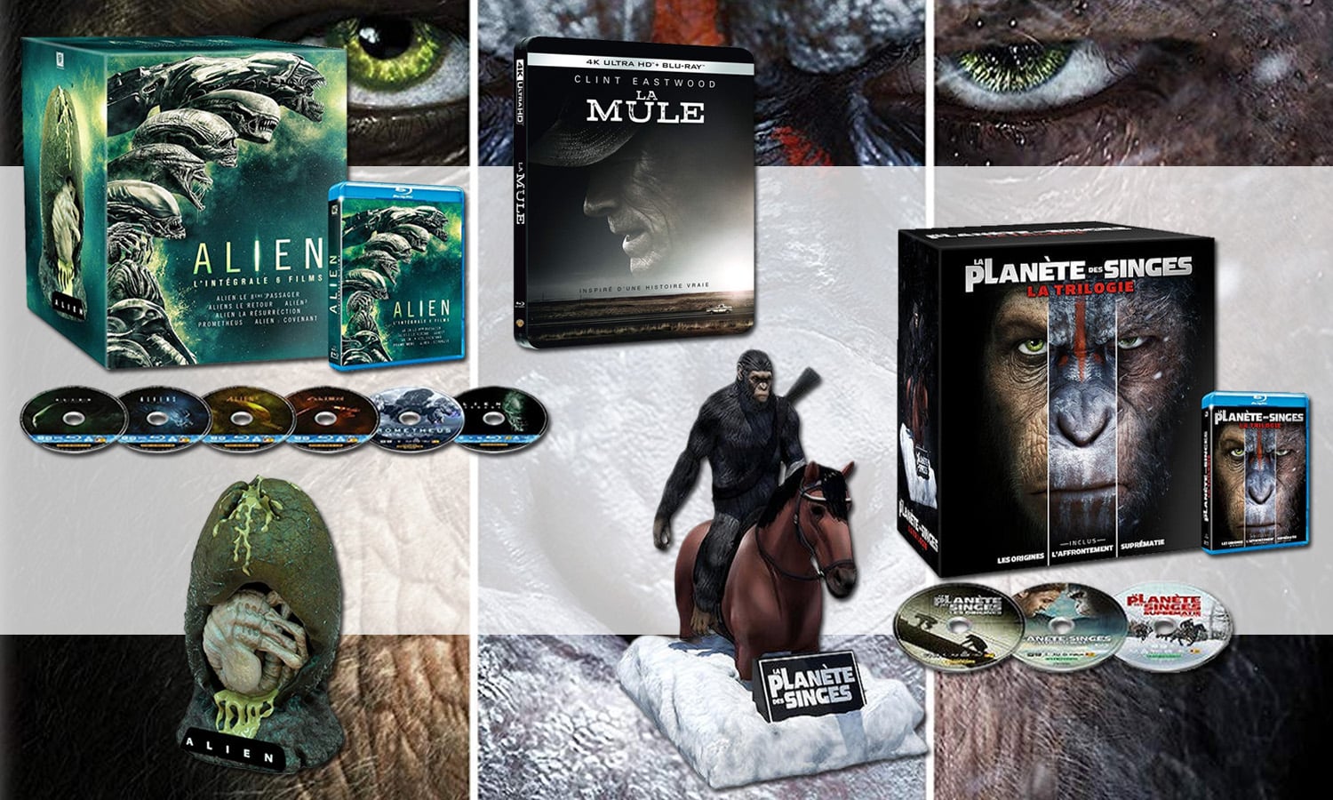 SLIDER article blog sorties du jour 05 06 19