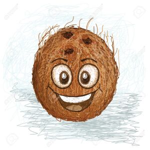 Coco La Noix