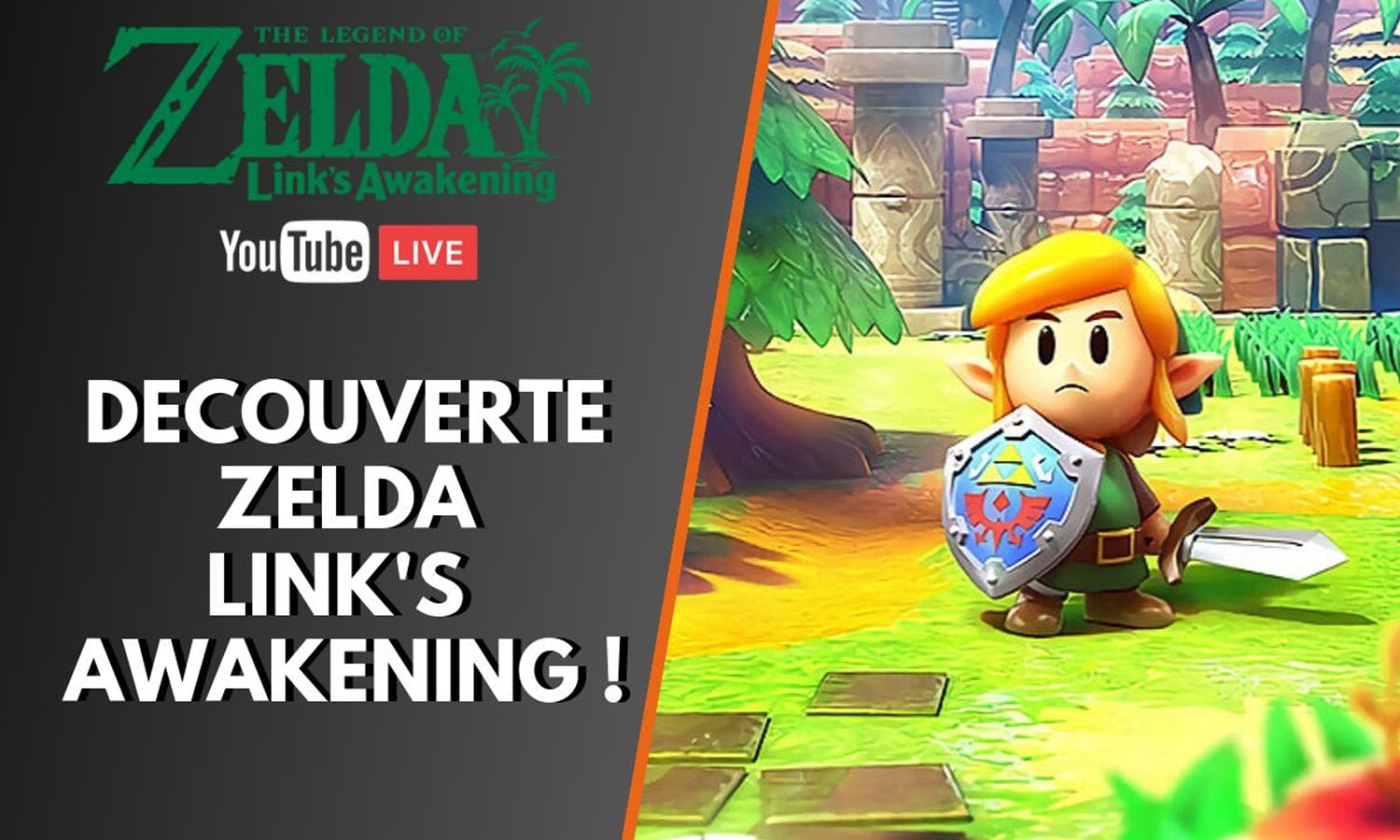 SLIDER live decouverte zelda links awakening switch