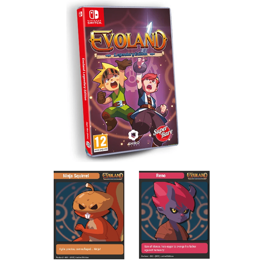 evoland switch pas cher avec cartes