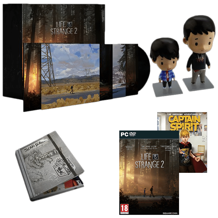 life is strange 2 collector pc