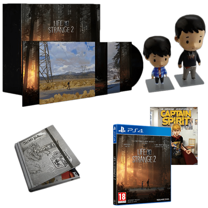 life is strange 2 collector ps4