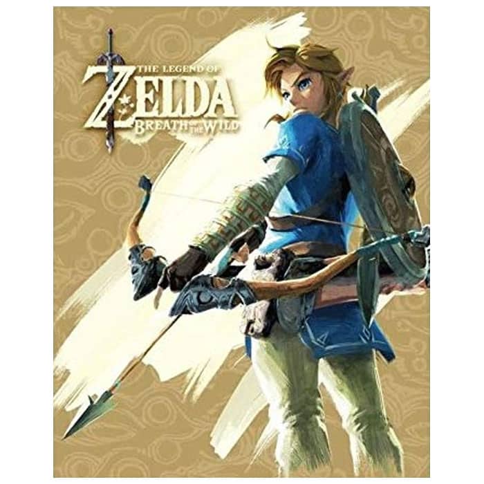 cadre zelda breath of the wild