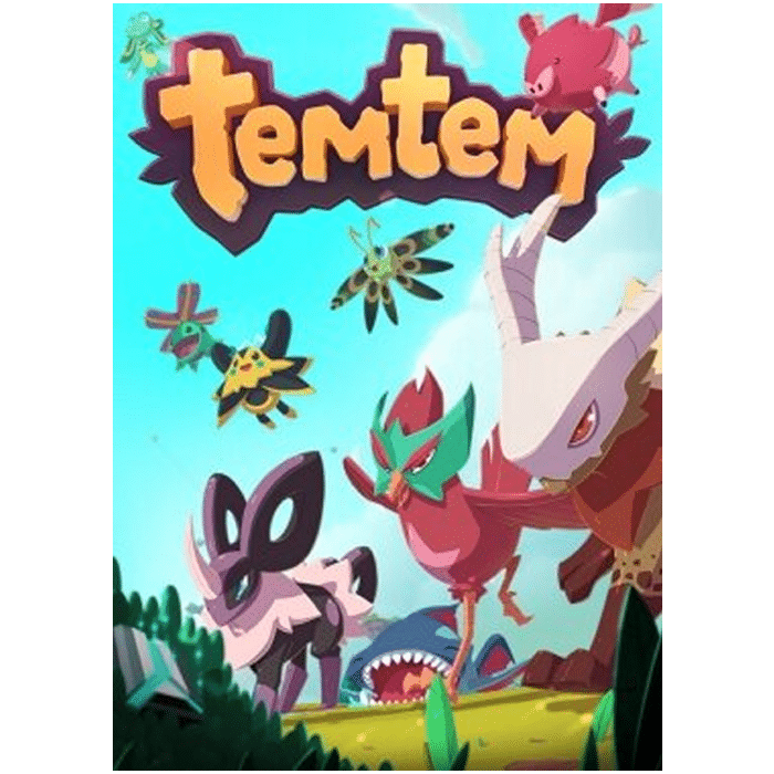 tem tem pc visuel produit