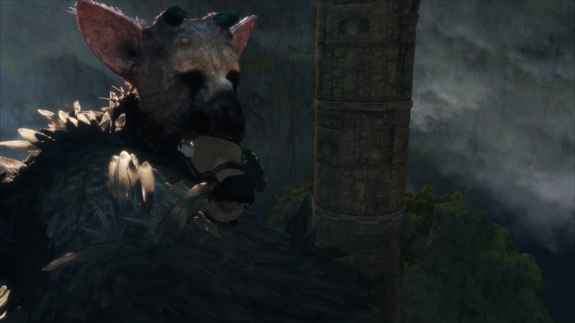 The Last Guardian™_20161215230853