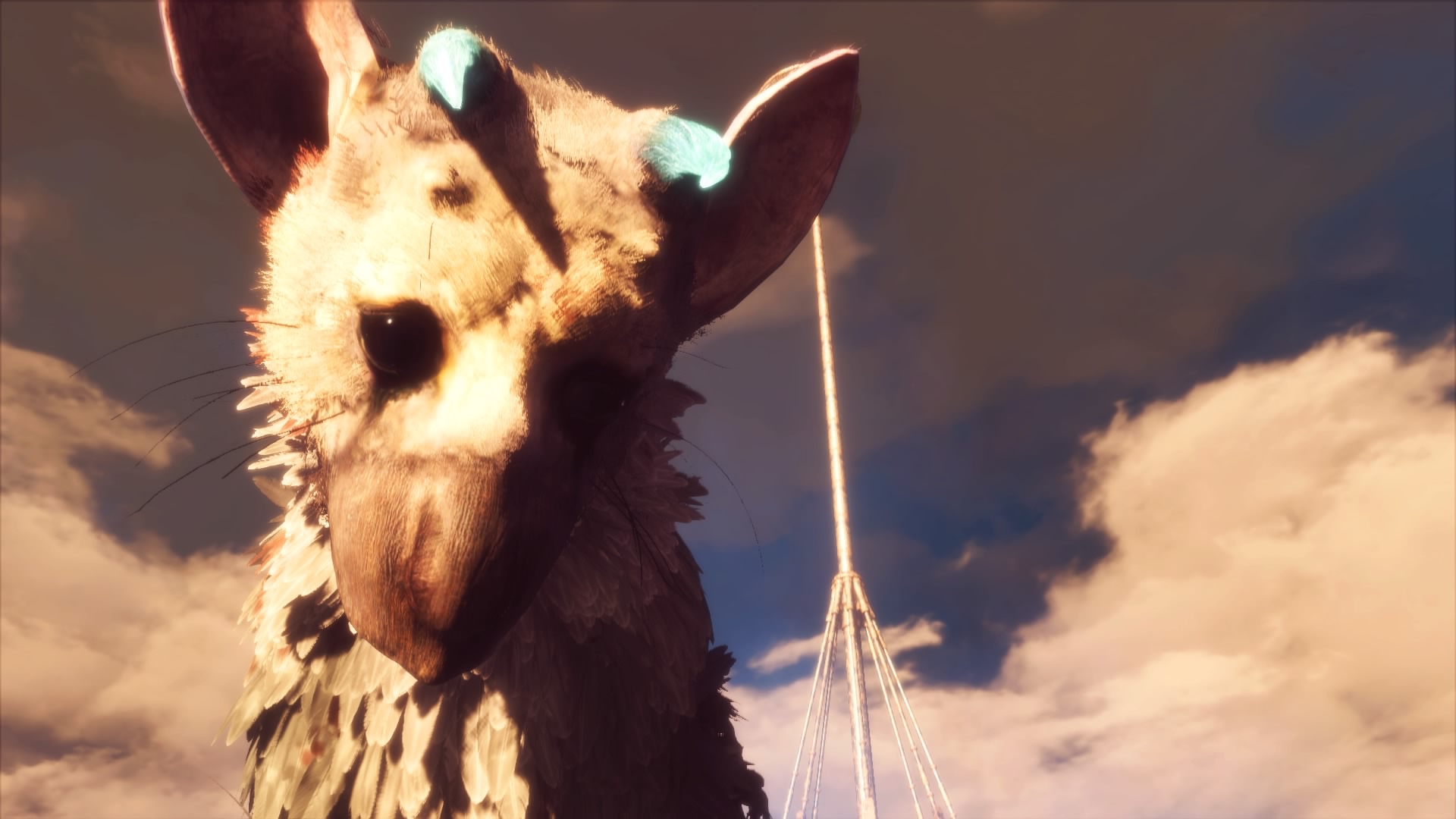 The Last Guardian™_20161216135420