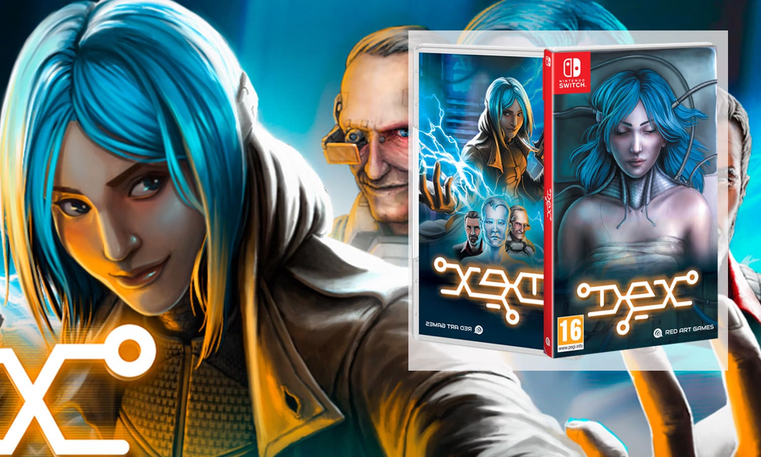 slider dex visuel jeu switch
