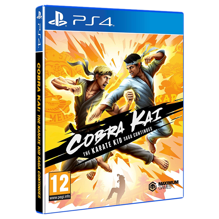cobra kai ps4 visuel produit