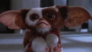 mogwai