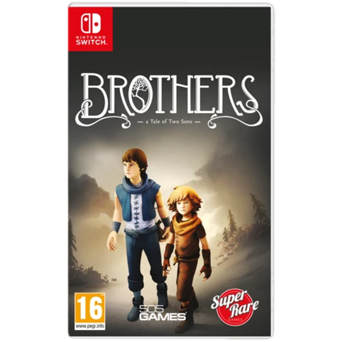 brothers a tale of two sons switch visuel produit