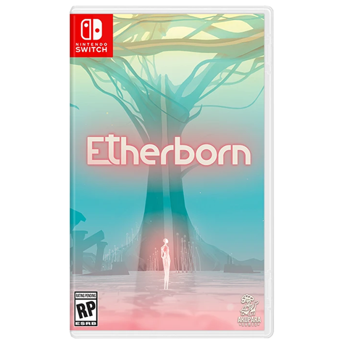 etherborn visuel produit switch