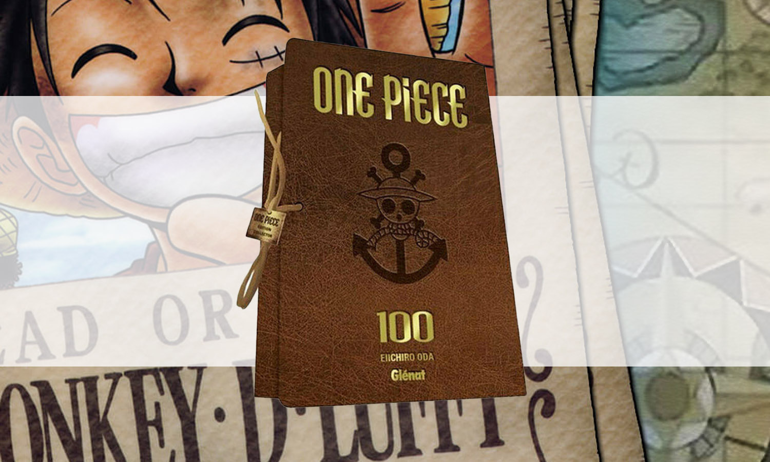 slider one piece tome 100