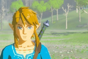 Test Zelda Breath of the Wild miniature test