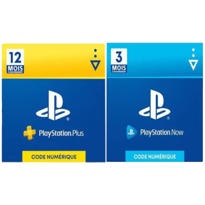 promo 12 mois psn avec 3 mois de psn now cdiscount