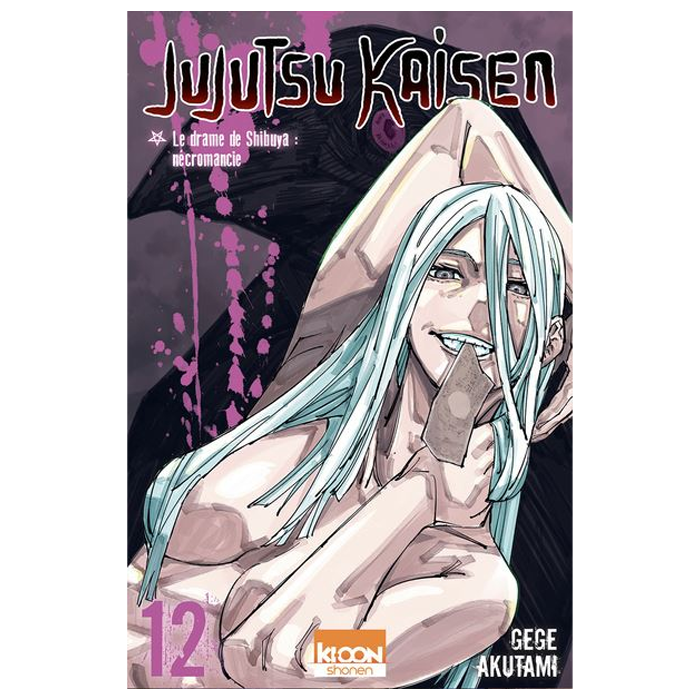 jujutsu kaisen tome 12 visuel produit
