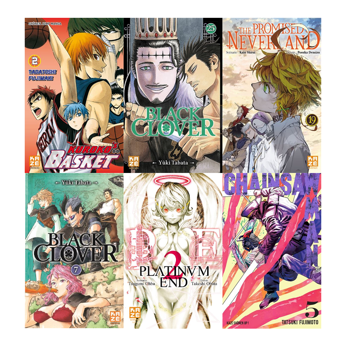 2 mangas kaze visuel produit
