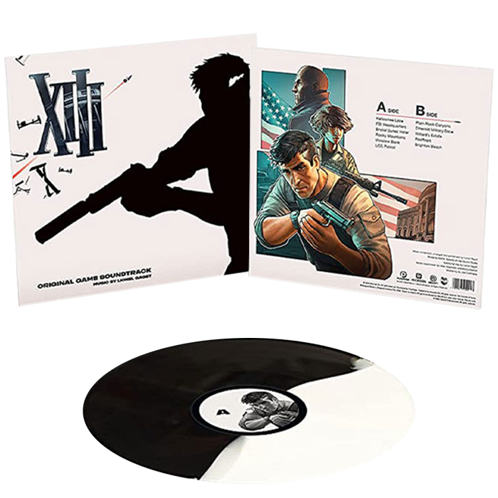 Vinyl XII visuel produit v2