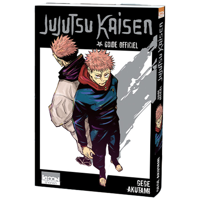 jujutsu kaisen guide visuel produit