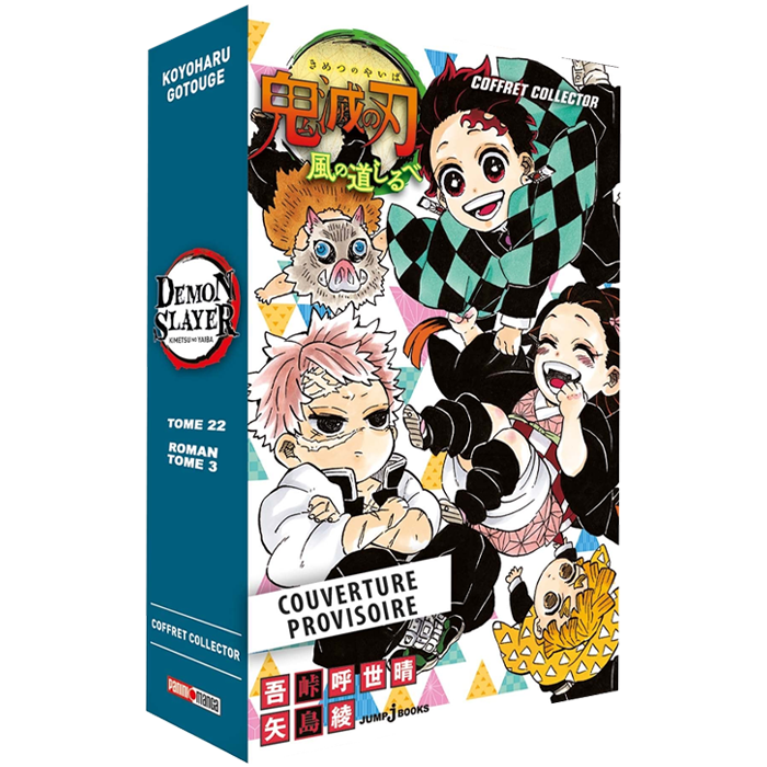 demon slayer collector 22 visuel produit