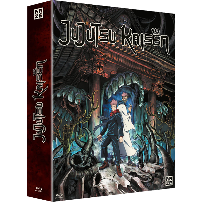 Coffret UJUTSU KAISEN Saison 1 en Blu Ray visuel produit