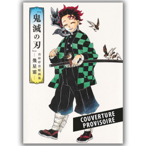 Artbook Demon Slayer visuel-produit provisoire