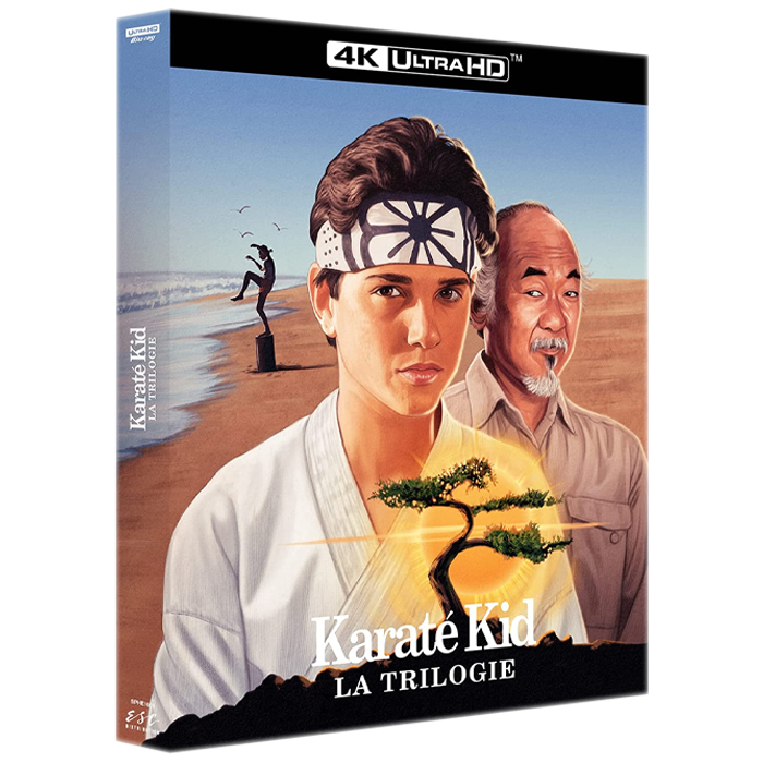 Karaté kid trilogie 4k visuel-produit copie