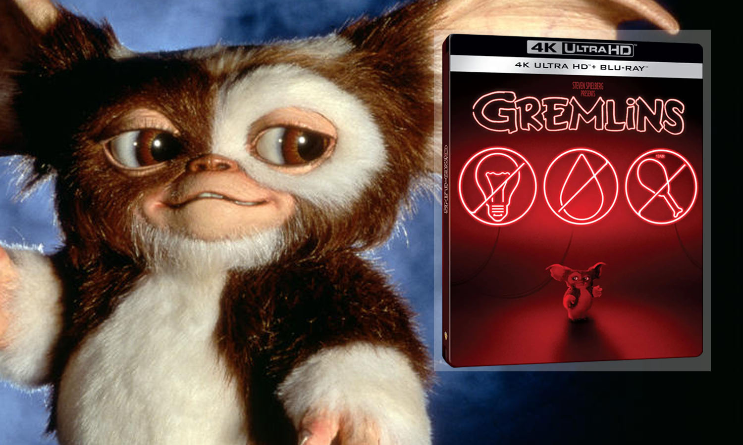 slider gremlins 4k steelbook