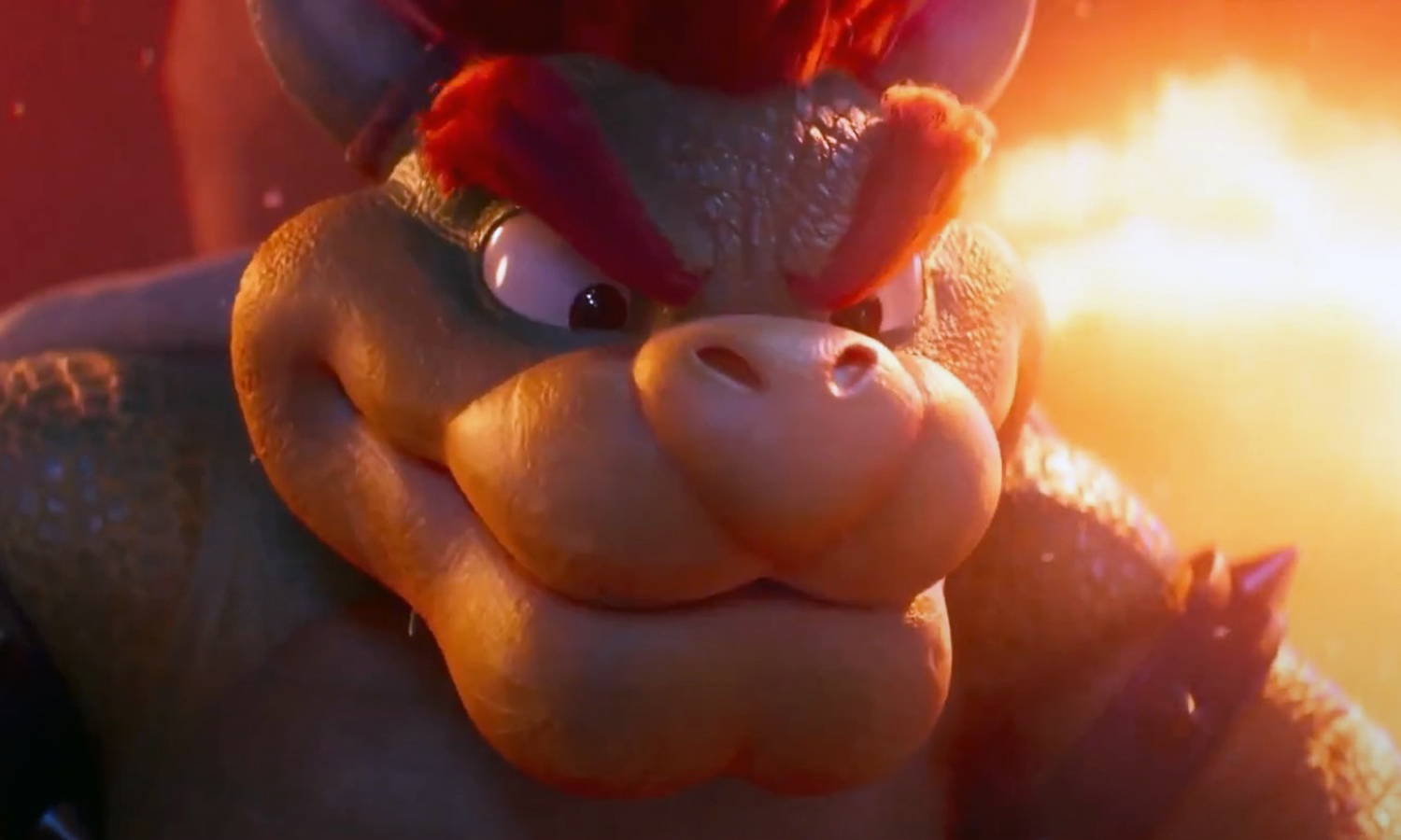 visuel Bowser