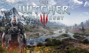 visuel slider horizontal witcher wild hunt maj next gen