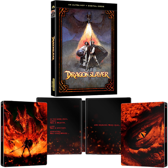 Dragonslayer 4k steelbook visuel-produit copie