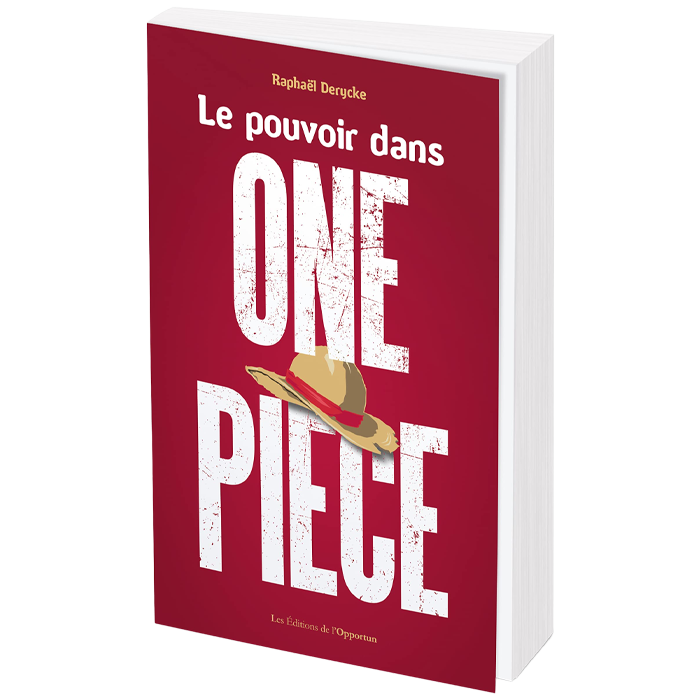 le pouvoir dans one piece visuel produit