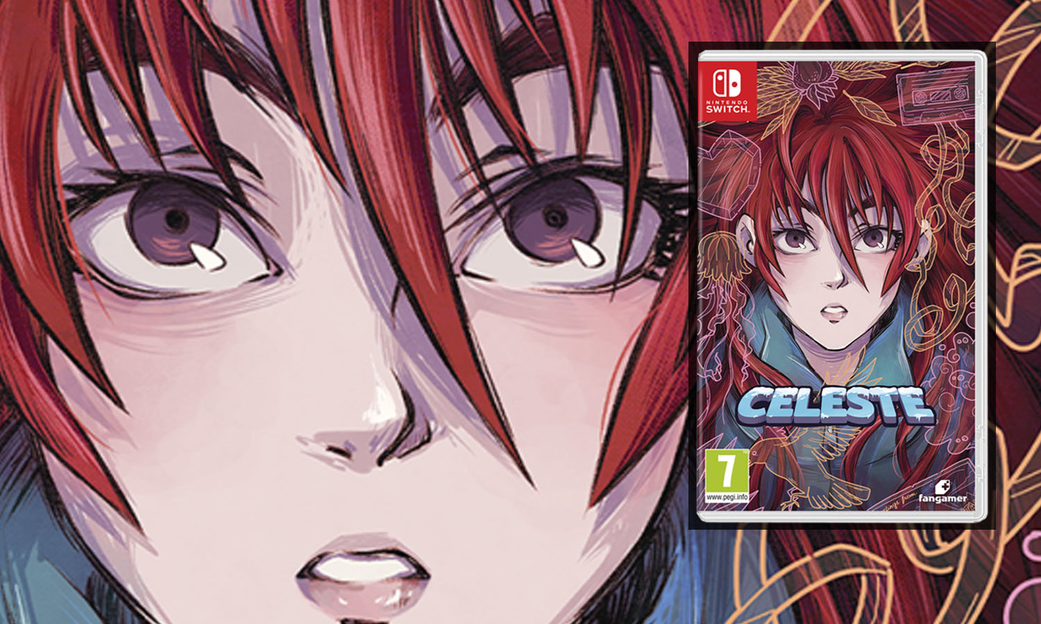 slider celeste jeu switch européen
