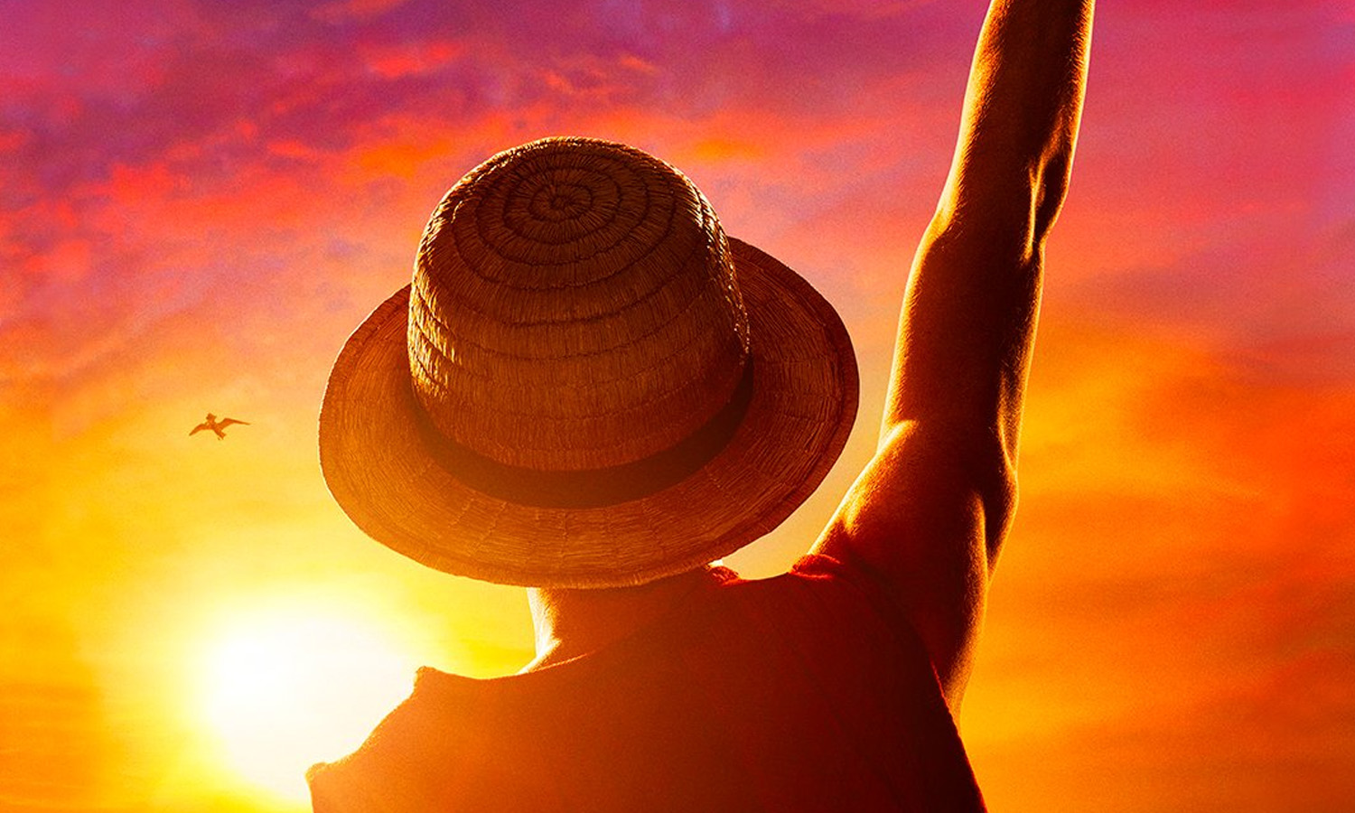 SLIDER affiche one piece netflix