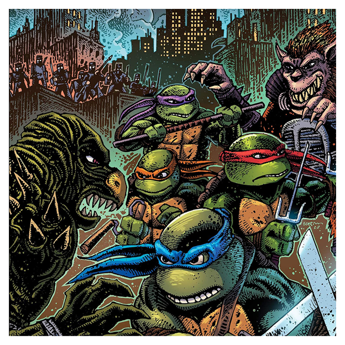 vinyle tortues ninja 2 the secret of the ooze visuel produit
