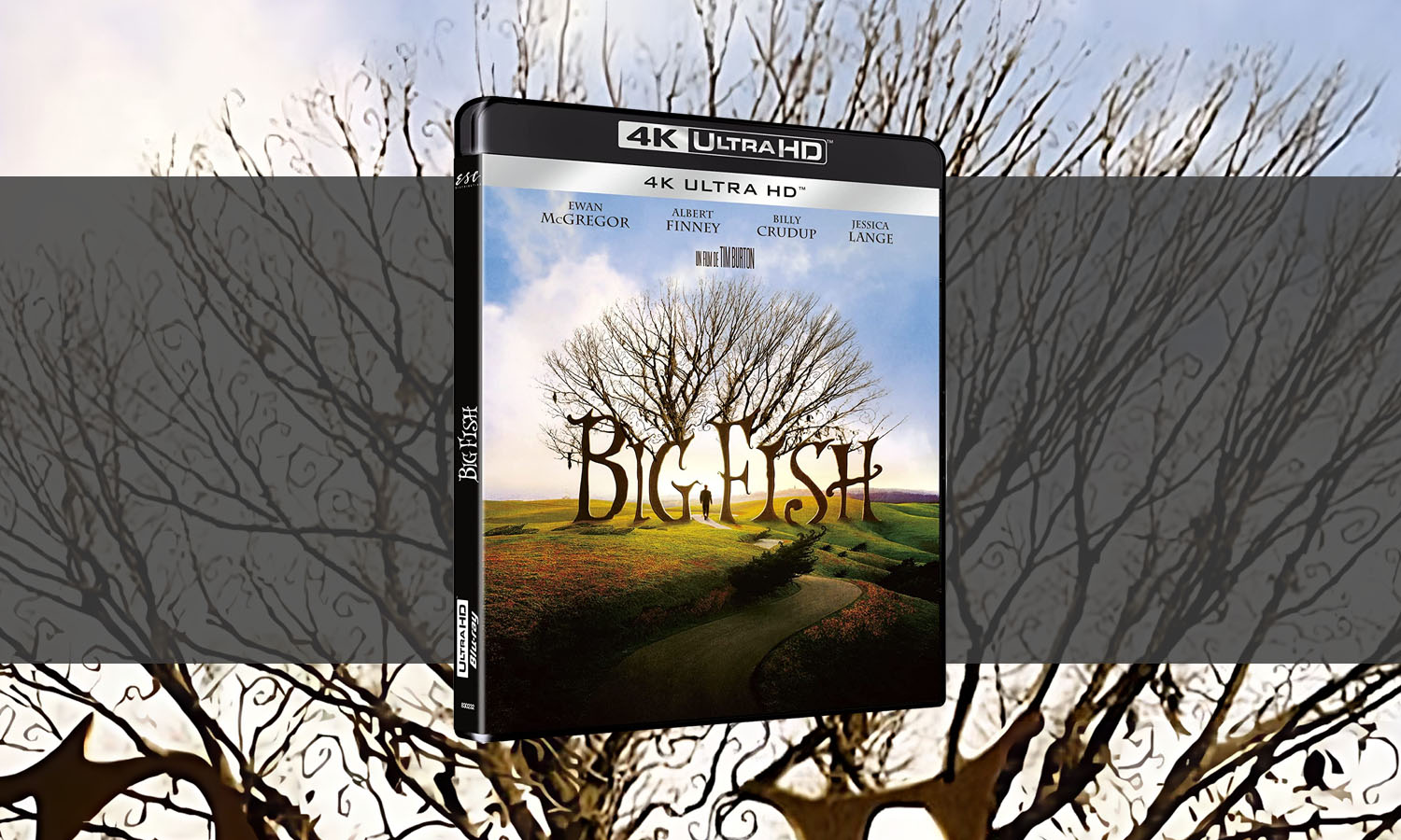 big fish blu ray 4k visuel slider horizontal