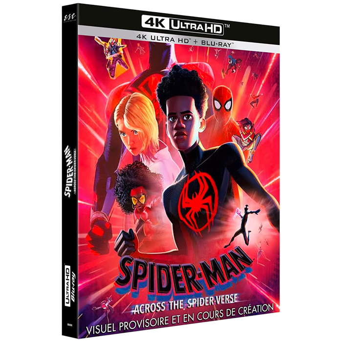 Spider Man Across Spider Verse Blu ray 4K visuel produit
