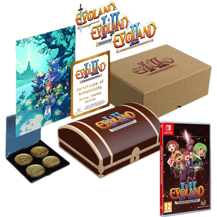 Evoland 1 et 2 10ème Anniversaire Edition Nintendo Switch visuel definitif produit