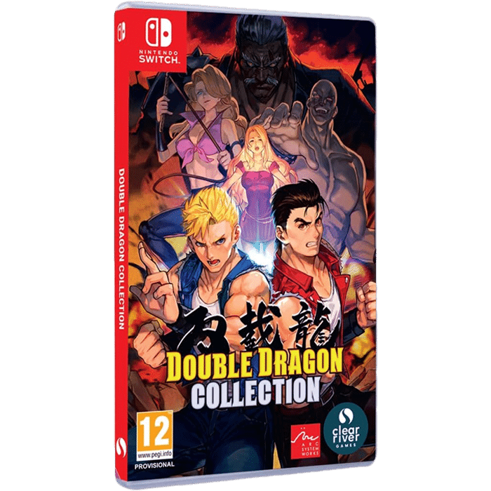 Double Dragon Collection Switch visuel produit