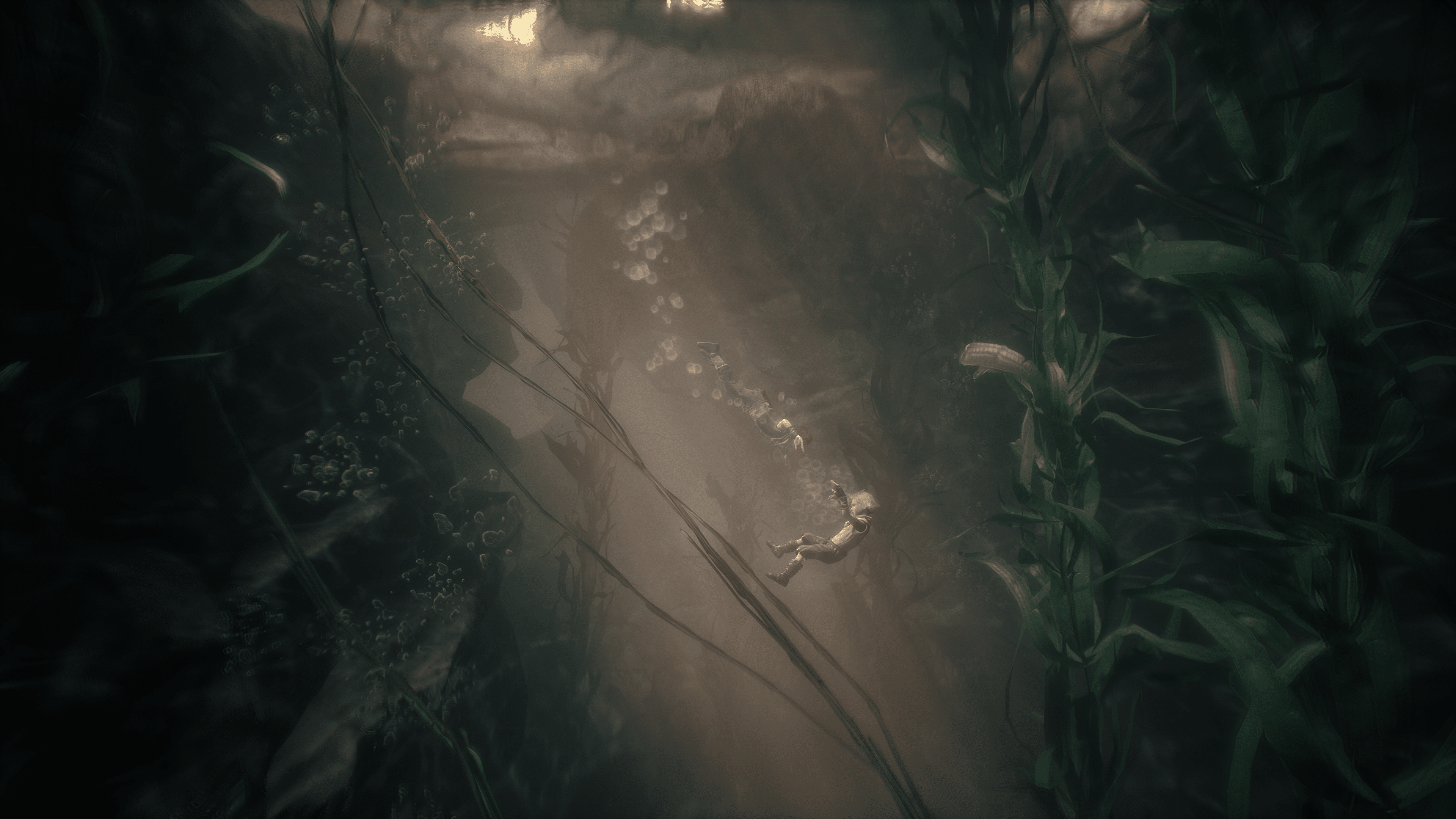 Brothers_ A Tale of Two Sons Remake-2024_03_03-21_00_18