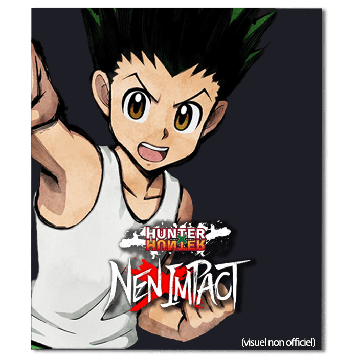 hunter x hunter nen impact pc visuel produit provisoire